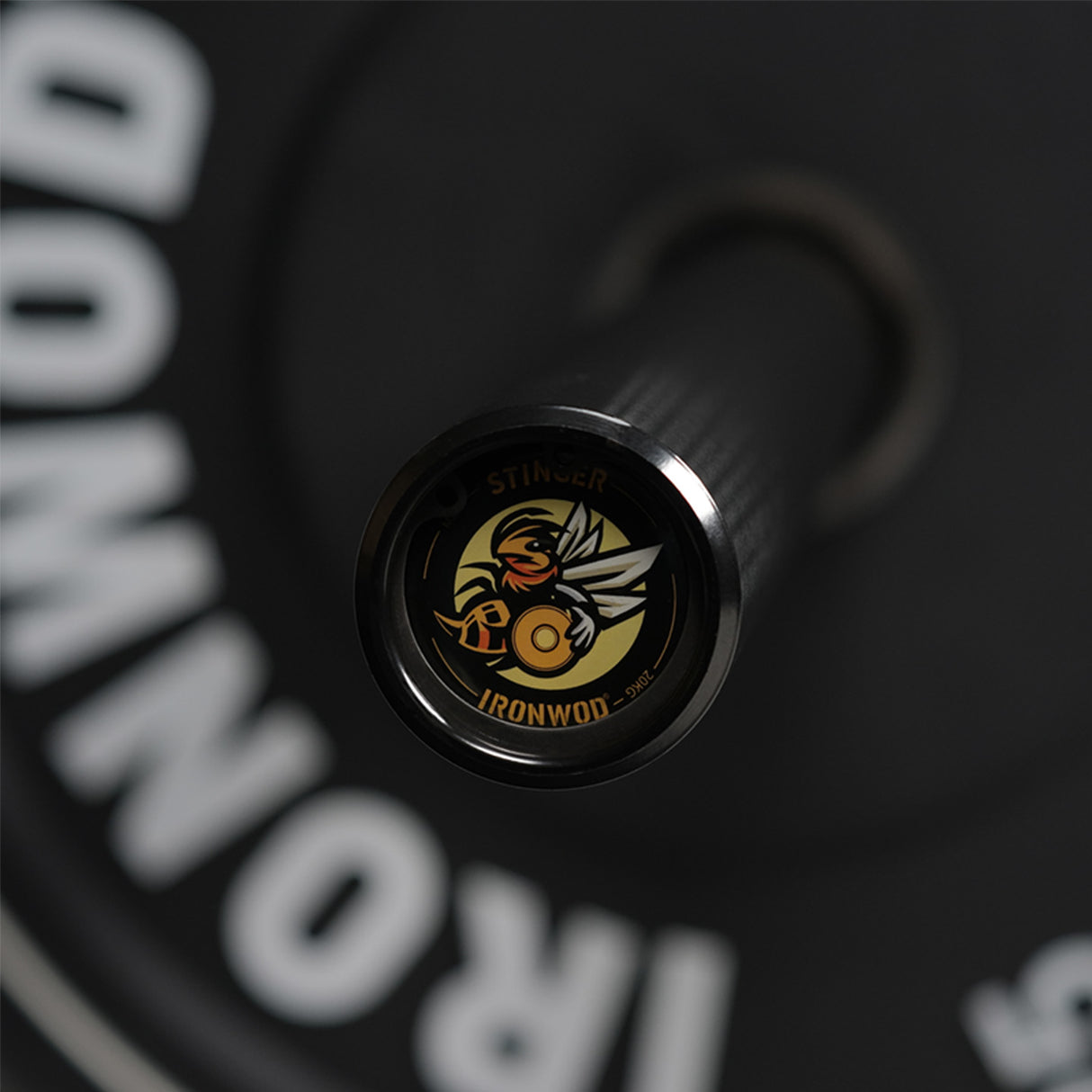 IRONWOD Stinger Barbell Bar